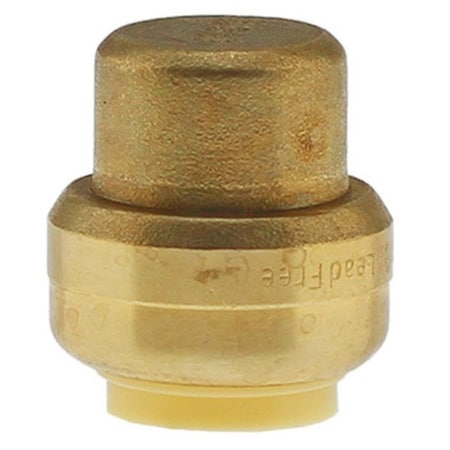 Homewardbound 0.75 in. Push Fittings Cap HO3344586